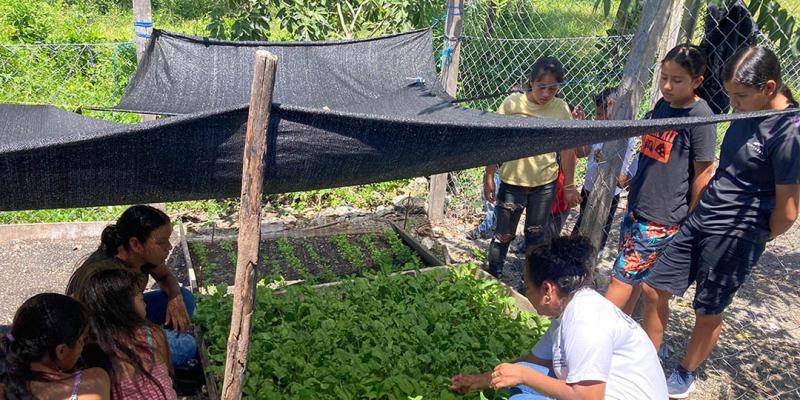 Niños transforman alimentos que ellos mismos cultivan