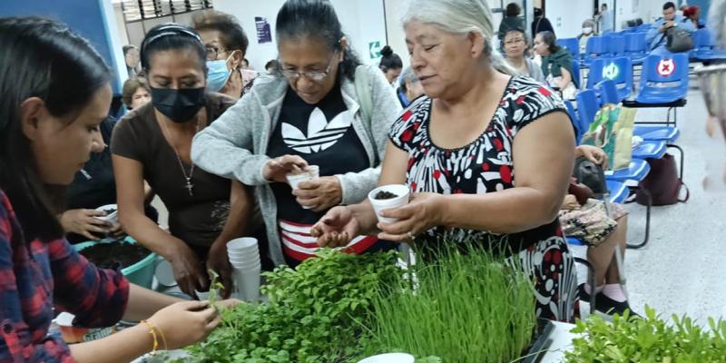 Adultos mayores capacitados en huertos familiares