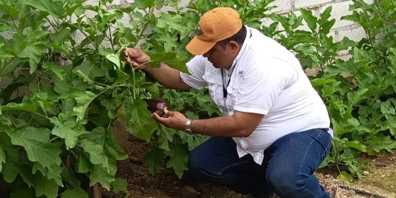 Brindan asistencia técnica en apoyo a huerto familiar de Zacapa