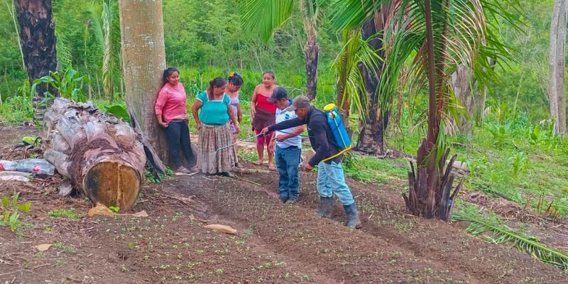 Fortalecen capacidades agrícolas en comunidad de San Luis, Petén