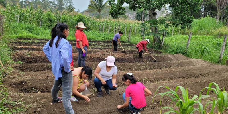 Implementan huerto familiar en Poptún