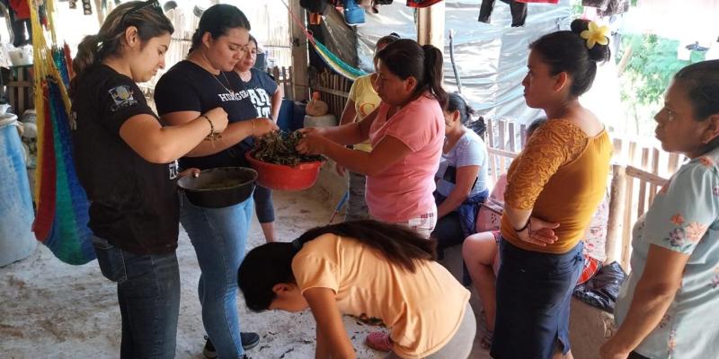 Impulsan procesos para fortalecer producción de aves de patio en Chiquimula