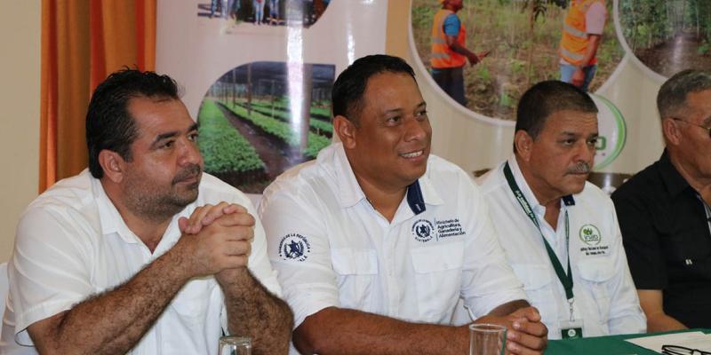 Invierten Q144 millones en incentivos forestales en Petén