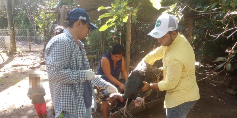 Jornada de sanidad animal en Poptún