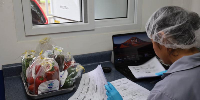 Refuerzan control de alimentos con más de dos mil análisis de inocuidad