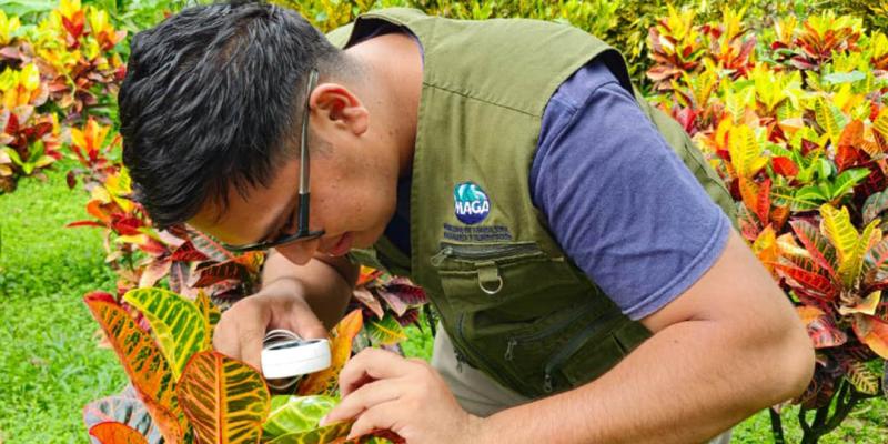 Emitidos más de 10 mil certificados fitosanitarios de exportación de productos agrícolas no procesados