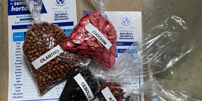 Entregan alimentos y semillas para huertos familiares en Zacapa