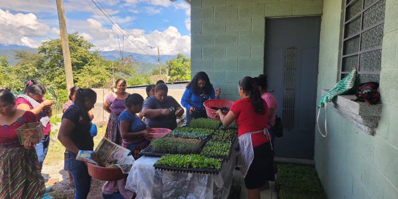 Familias de Chuarrancho beneficiadas con la entrega de pilones de hortalizas