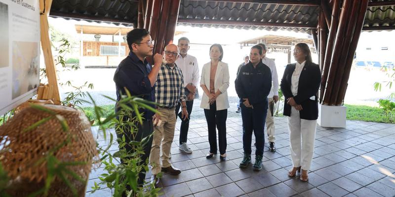 Impulsan sostenibilidad y desarrollo de la agrocadena del bambú