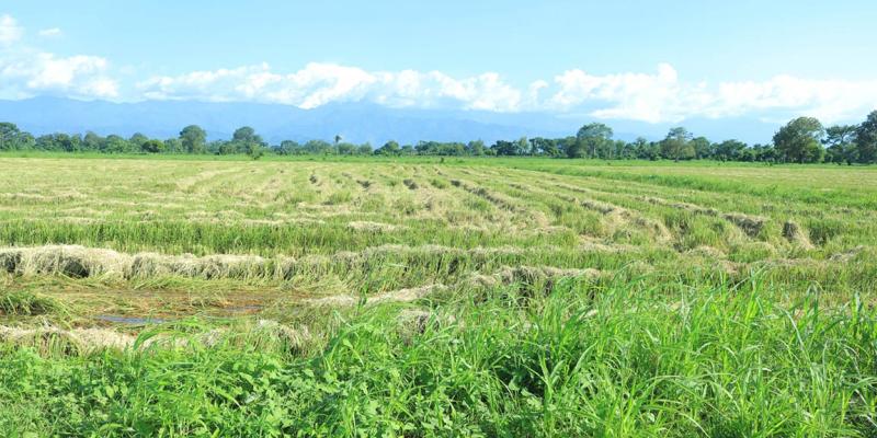 Recomendaciones preventivas por inclemencias climáticas