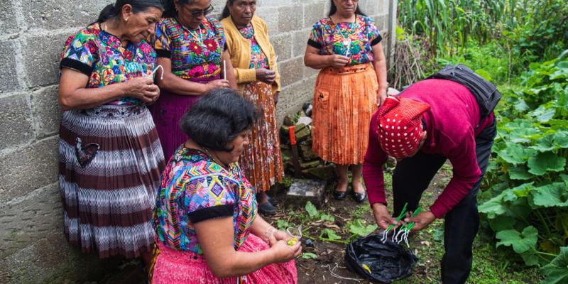 Acuerdo Ministerial 981-2011 reconoce y regula el ejercicio espiritual ancestral