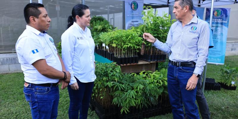 Se reafirma apoyo en beneficio de pequeños productores con cadenas de valor en Alta Verapaz