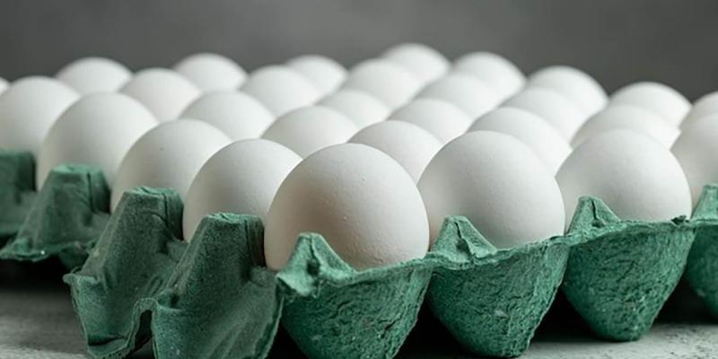 Producción de huevos en el país cuenta con altos estándares sanitarios