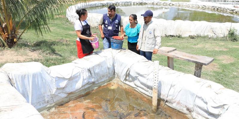 Así puede iniciar un proyecto de Acuicultura Familiar