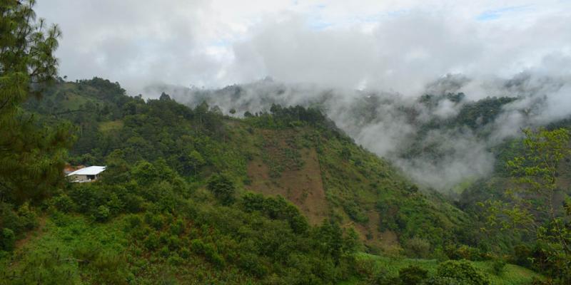 Emiten recomendaciones para proteger cultivos y ganado ante condiciones climáticas variables
