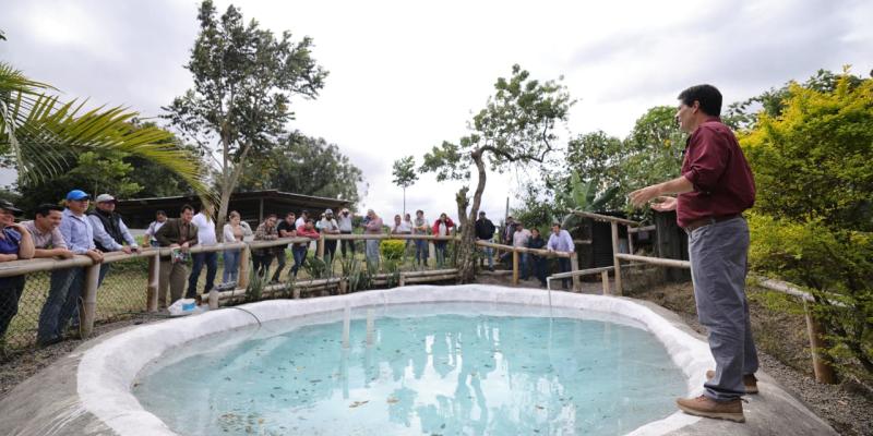 Inauguran plan piloto de cultivo de tilapia para fortalecer la nutrición y la producción familiar