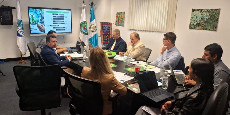 Inician auditoría para aprobar exportación de Petunia y Calibrachoa