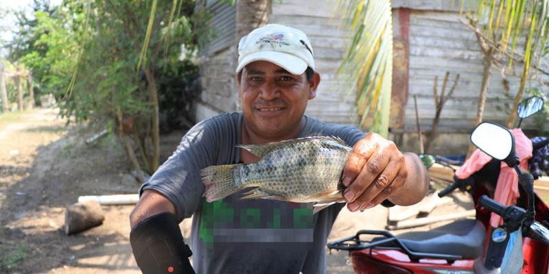 La tilapia, una fuente de nutrición para las familias guatemaltecas