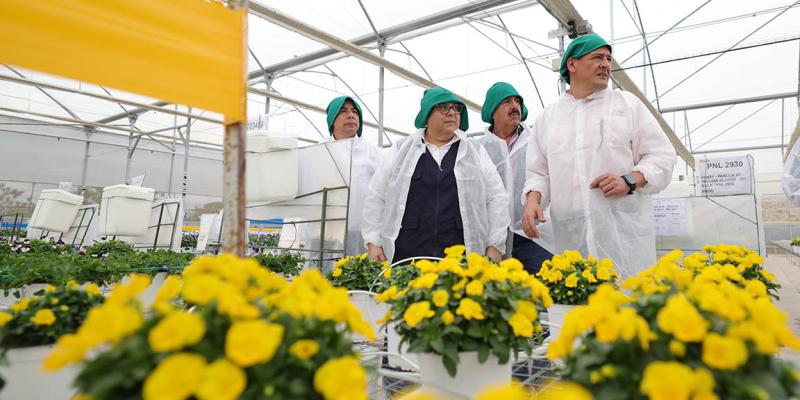 Tecnología automatizada impulsa producción de semillas ornamentales en Jalapa