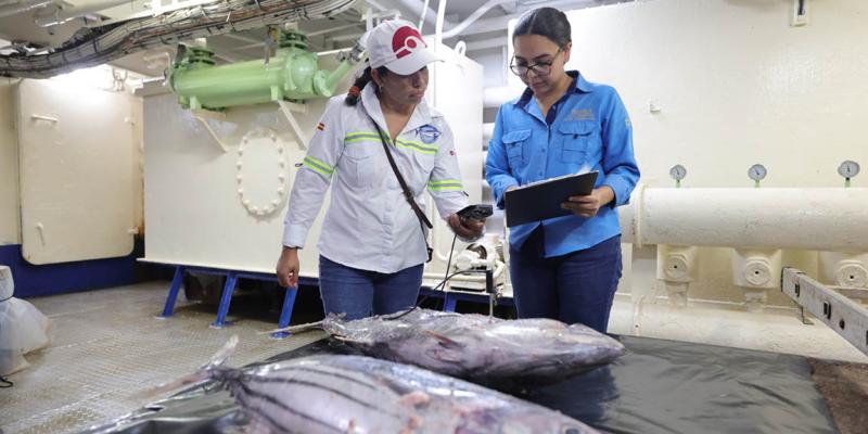 Verifican inocuidad de atún a bordo de barco en altamar
