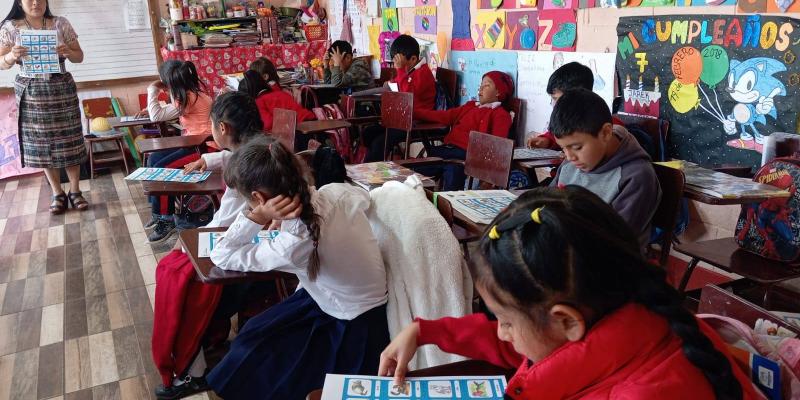 Escolares de Totonicapán aprenden en K'iche' los nombres de los animales
