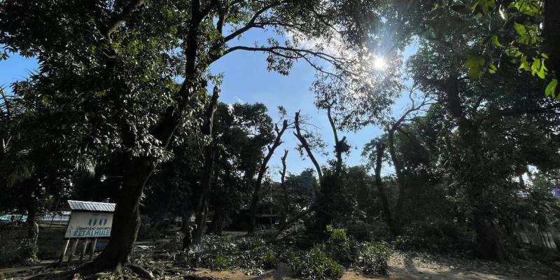  se comenzó con la poda de árboles en la cabecera norte del aeródromo, específicamente en el área de mangales ubicada dentro del complejo deportivo. 