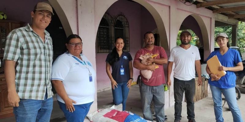 Distribuyen lechones a familias rurales de Petén