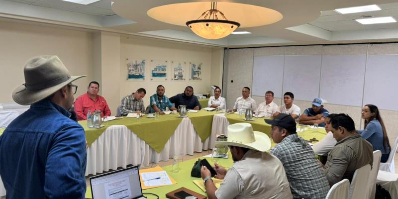 Modelo de Ganadería Sostenible sumará a más productores en 2026