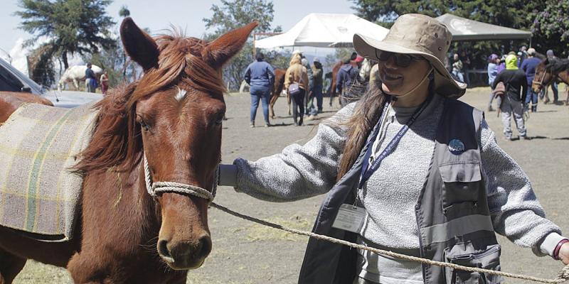 Por un trato digno y responsable hacia los animales