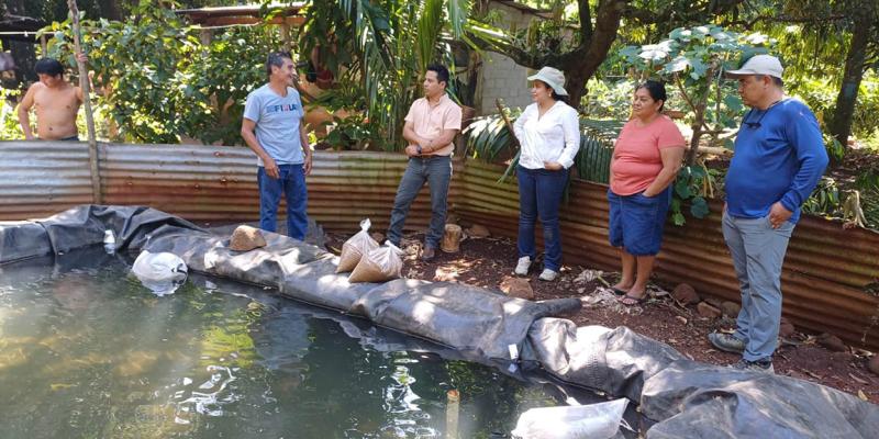 Producción de tilapia promueve la diversificación de la dieta familiar