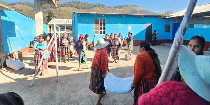 Sistema patio fortalece la producción de más de 42 mil pequeños agricultores