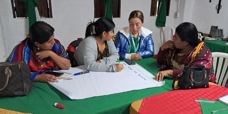 Taller sobre medicina natural Q’eqchi’ 