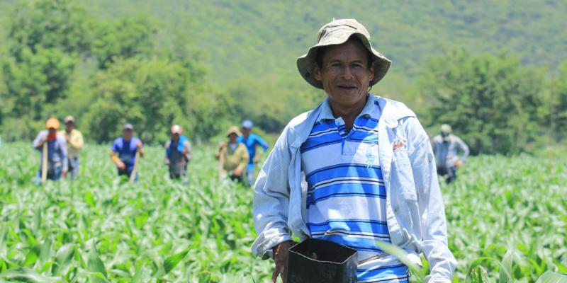 Segunda Cosecha: Alianzas interinstitucionales impulsan el desarrollo agropecuario 