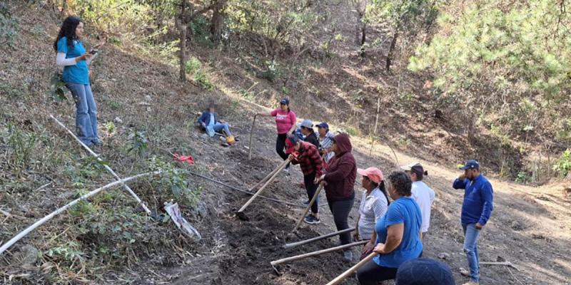 Conozca la agricultura familiar y sus componentes clave