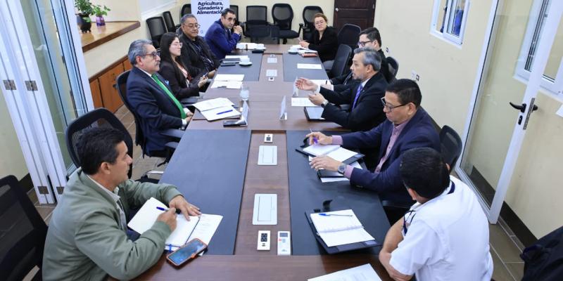 Cooperación con el OIEA apunta a mejorar la seguridad alimentaria en Guatemala