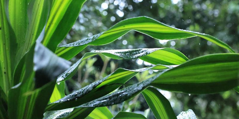 Lluvias, bajas temperaturas y vientos fuertes afectan mayor parte del país