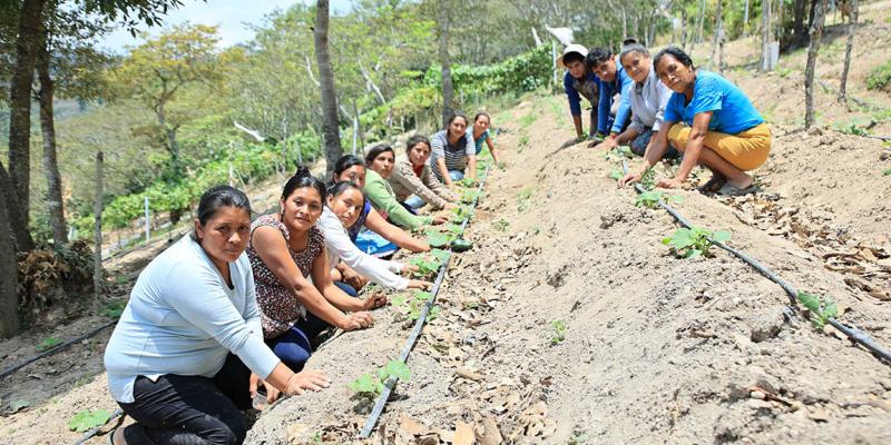 Los huertos comunitarios, alternativa que fortalece la seguridad alimentaria y el desarrollo local