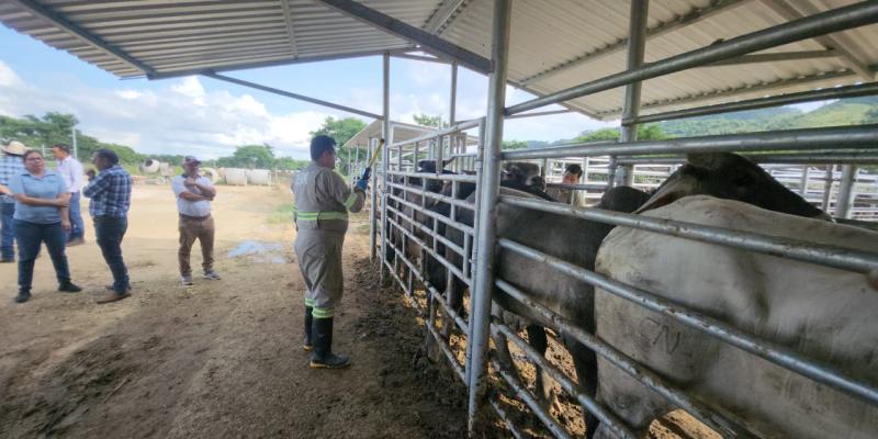 Monitorean 209 municipios ante bajas temperaturas y vientos fuertes