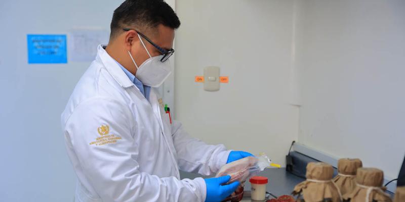 Codex Alimentarius, pilar para garantizar alimentos seguros y de calidad en Guatemala