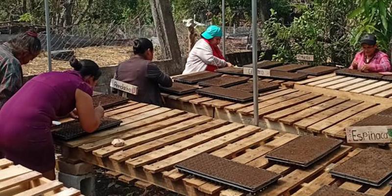 Familias agricultoras de Chiquimula inician camino hacia la prosperidad
