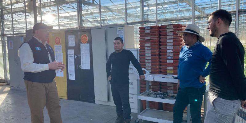 comunicado del Minex