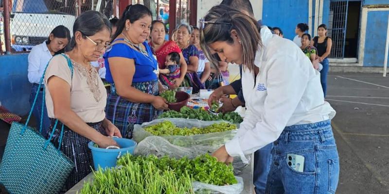 Huertos familiares escalonados fortalecen seguridad alimentaria familiar