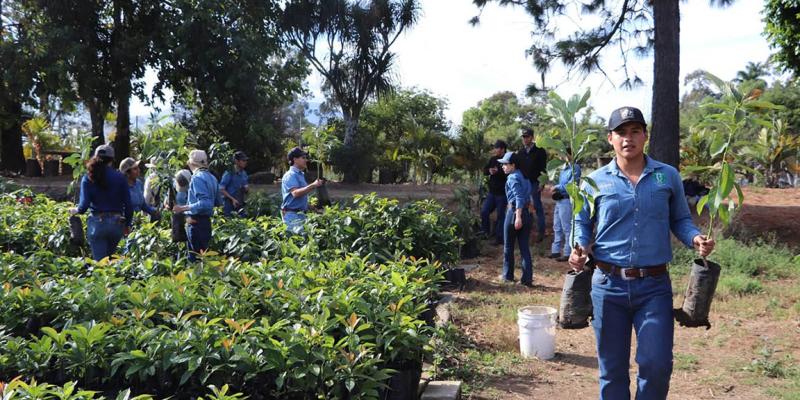Impulsan formación especializada en injertación de frutales bajo el modelo "Aprender Haciendo"