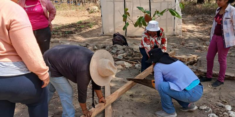 Optimizan la producción de pilones en Zacapa mediante gestión hídrica