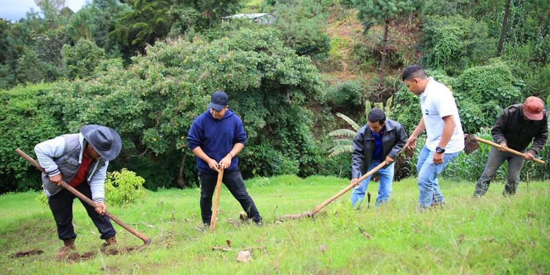 Programas que fortalecen la producción local y garantizan alimentos