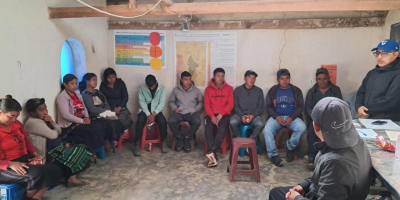Promueven tecnificación de la producción de arveja dulce en Sololá