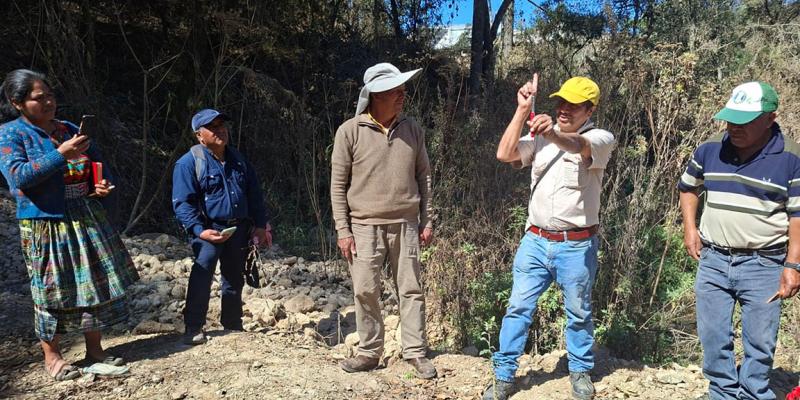 Técnicas de injerto impulsan la productividad frutícola en Cantel
