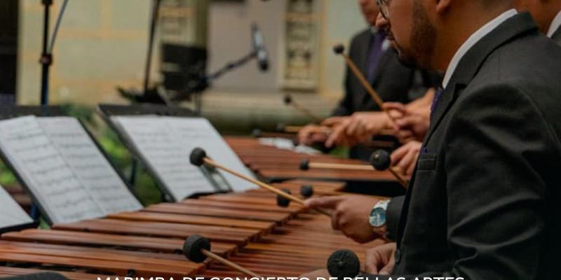 Marimba de Concierto de Bellas Artes: Latidos de Hormigo