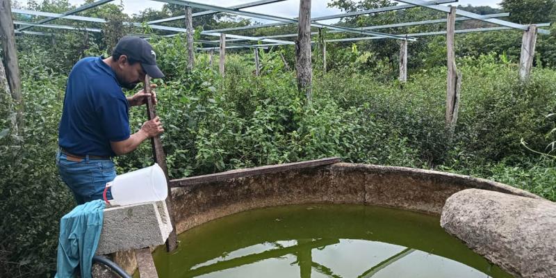 Del estanque a la mesa: el primer cultivo de tilapia de José Roldán