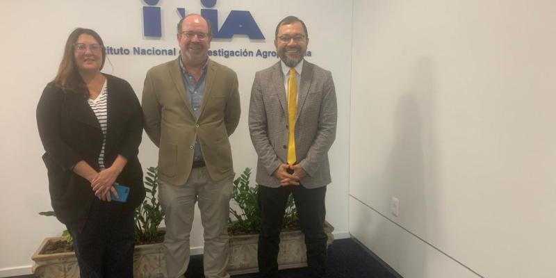nota de prensa